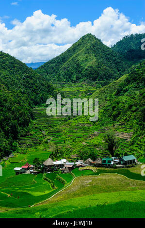 Bangaan in die Reisterrassen von Banaue, nördlichen Luzon, Philippinen Stockfoto