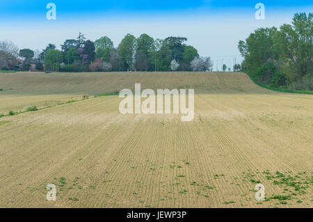 Struktur eines kultivierten Feldes nach Passage von Traktoren und Aussaat Stockfoto
