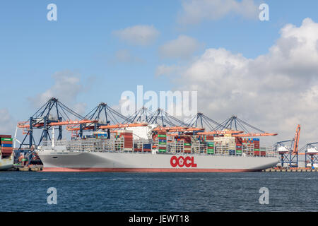 ROTTERDAM, Niederlande - 25. Juni 2017: Das größte Containerschiff der Welt OOCL Hong Kong vertäut am Euromax Terminal in Rotterdam während Stockfoto