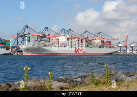 ROTTERDAM, Niederlande - 25. Juni 2017: Das größte Containerschiff der Welt OOCL Hong Kong vertäut am Euromax Terminal in Rotterdam während Stockfoto