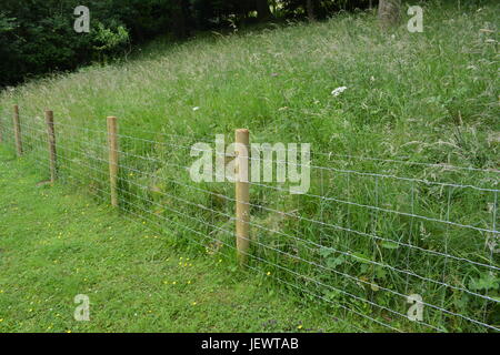 Drahtgitter garten Lager Zaun mit Holz Holz- beiträge Regalständer mit hohen Wiese Gräser hinter auf abschüssigem Gelände England Großbritannien Stockfoto