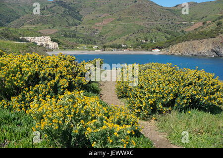 Coastal Wanderweg führt um den Kiesel Strand Peyrefite, Mittelmeer, südlich der Pyrenäen Orientales, Roussillon, Frankreich, Cote Vermeille Stockfoto