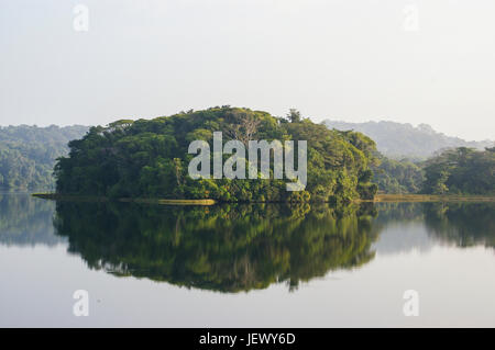 Regenwald-Szene See Gatun Panama Stockfoto