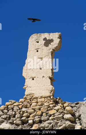 Alpine Alpenkrähe schweben über den Ruinen einer alten Gompa in Chuksang, Upper Mustang, Nepal. Stockfoto