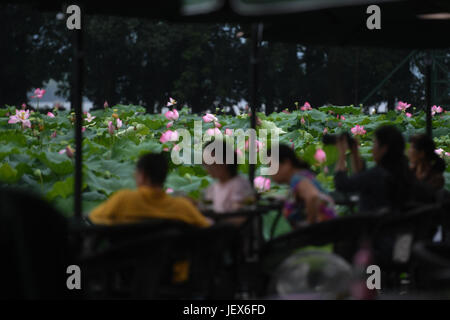 (170628)--HANGZHOU, 28. Juni 2017 (Xinhua)--Menschen genießen Sie die Landschaft von Lotusblüten in West Lake Hangzhou, Hauptstadt der ostchinesischen Provinz Zhejiang, 28. Juni 2017. Lotusblumen hier trat ihre beste Zeit des Jahres, und die Blütezeit dauert bis Anfang September. (Xinhua/Huang Zongzhi) (Wjq) Stockfoto