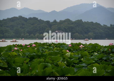 (170628)--HANGZHOU, 28. Juni 2017 (Xinhua)--Menschen genießen Sie die Landschaft von Lotusblüten in West Lake Hangzhou, Hauptstadt der ostchinesischen Provinz Zhejiang, 28. Juni 2017. Lotusblumen hier trat ihre beste Zeit des Jahres, und die Blütezeit dauert bis Anfang September. (Xinhua/Huang Zongzhi) (Wjq) Stockfoto