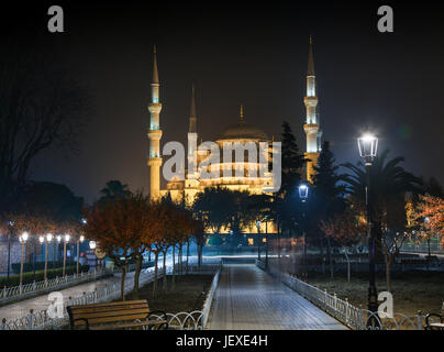 Blaue Moschee bei Nacht in Istanbul Stockfoto