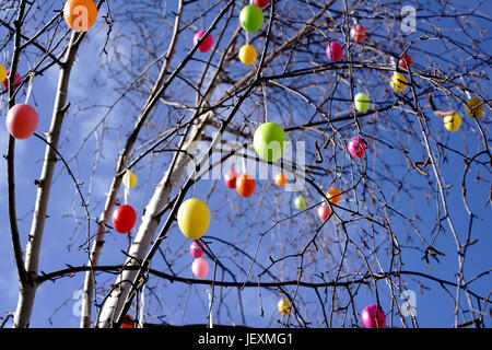 Ostereier als Dekoration auf einem Baum Stockfoto