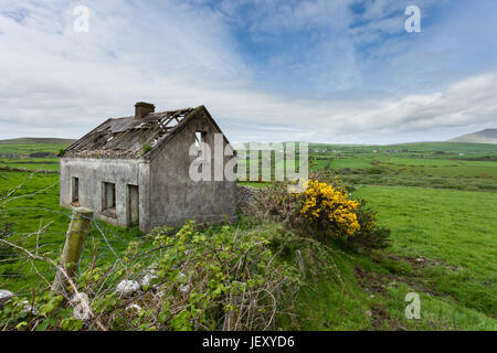 Verlassenen Hütte auf der Dingle Halbinsel, Irland Stockfoto