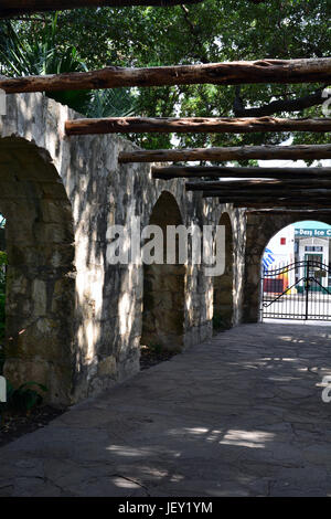 Live Oak Bäume säumen den Eintrag Hof zu Alamo in San Antonio, Texas. Stockfoto