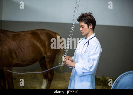 Portrait von Frau Tierarzt Behandlung eines Pferdes Stockfoto