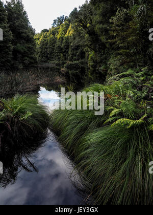 Ohinetonga Lagoon, Owhango, Ruapehu-Distrikt, Neuseeland Stockfoto