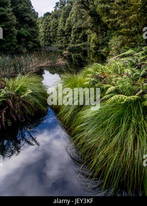 Ohinetonga Lagoon, Owhango, Ruapehu-Distrikt, Neuseeland Stockfoto