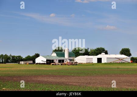 Eine aufstrebende Maisernte Fronten eine große landwirtschaftliche verteilt in der Mitte der Farm Land im Nordosten von Illinois. Maple Park, Illinois, USA. Stockfoto