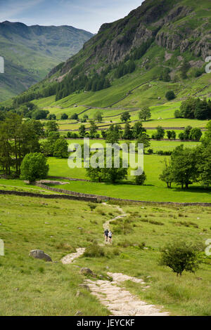 UK, Cumbria, Great Langdale, Wanderer auf Cumbria Weg Weg zur Eiche Howe von Langdale fiel Stockfoto