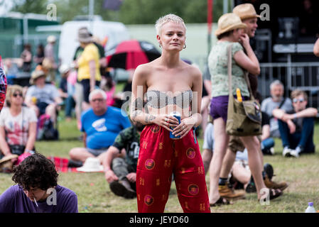 2017 bärtigen Theorie Festival - Tag 3 - Aufführungen und Atmosphäre mit: Atmosphäre wo: Lichfield, Derbyshire, Großbritannien wenn: 27. Mai 2017 Credit: WENN.com Stockfoto