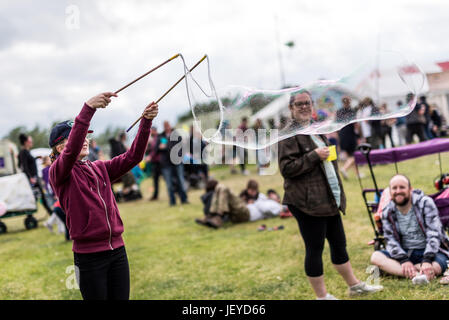 2017 bärtigen Theorie Festival - Tag 3 - Aufführungen und Atmosphäre mit: Atmosphäre wo: Lichfield, Derbyshire, Großbritannien wenn: 27. Mai 2017 Credit: WENN.com Stockfoto