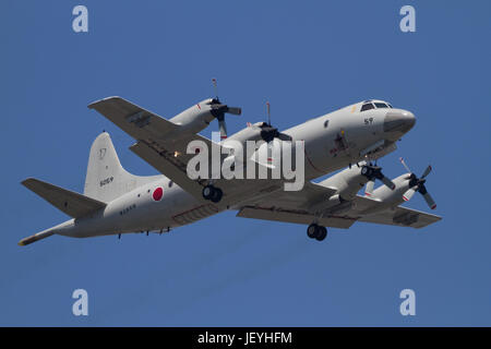 Ein Lockheed P-3C Orion Aufklärungsflugzeug mit Flottenflügel 4 der japanischen Maritime Self Defense Force (JMSDF), der in der Nähe des Atsugi-Luftwaffenstützpunktes fliegt Stockfoto