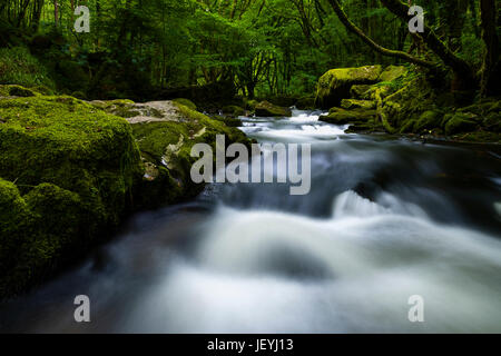 Lange Belichtungszeiten aufgenommen an verschiedenen Punkten entlang den bewaldeten Weg Golitha Wasserfälle in der Nähe von Liskard Stockfoto