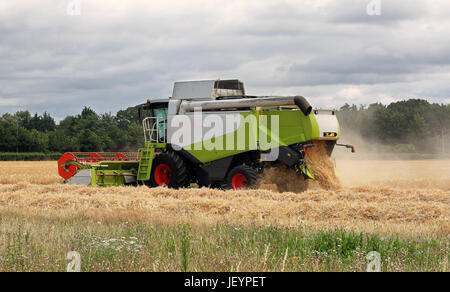 Schneiden von Weizen in einem Feld im ländlichen England Mähdrescher Stockfoto