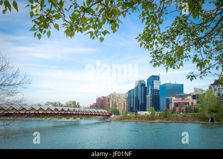 Ein Blick von der Friedensbrücke (von Santiago Calatrava entworfen) und die Skyline von Calgary, Alberta, Kanada. Stockfoto