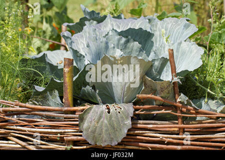 - Bett im Garten Stockfoto