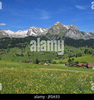 Der Frühling in der Toggenburger Tal Stockfoto