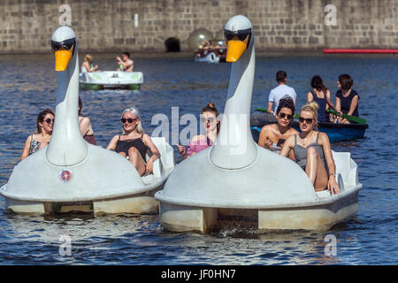 Prag Touristen auf Schwanenradbooten Prag Menschen Moldau Fluss Tschechische Republik, Europa Moldau in Prag Stockfoto