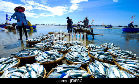 Vietnamesische Männer und Frauen, Sortierung und Handel mit Fisch am Strand von Long Hai, Vietnam Stockfoto