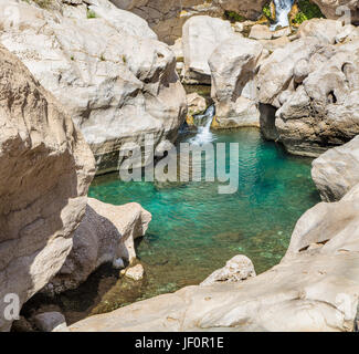 Das türkisfarbene Wasser des Wadi Bani Khalid, Sultanat von Oman Stockfoto