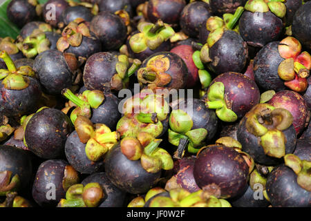 Haufen von reif lila Mangosteen Früchte mit grünen Stängel für Hintergrund Stockfoto