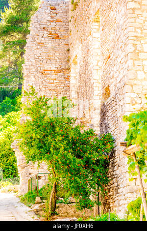 Alte römische Ruinen in Polače, auf der Insel Mljet in Kroatien Stockfoto