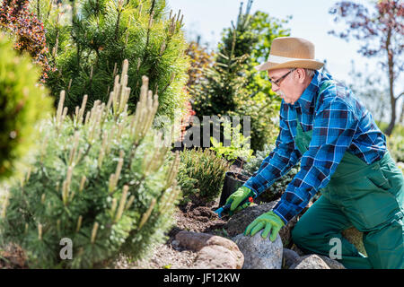 Leitender Gärtner in einem Garten zu graben. Boden vorbereiten für ein neues Werk. Gartenarbeit-Konzept. Stockfoto