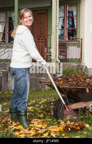 Lächelnde Frau clearing gefallenen Blätter Stockfoto