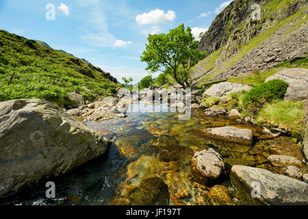 Afon Nant Peris, der Fluss, der durch die robuste und malerischen Llanberis Pass in Snowdonia, Gwynedd, Nordwales. Stockfoto