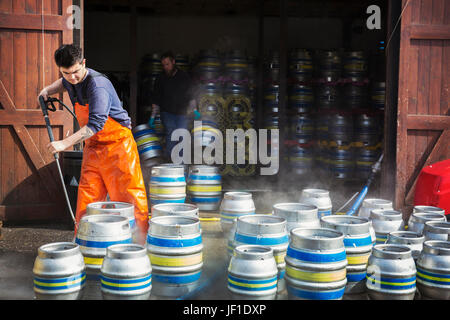 Mann arbeitet in einer Brauerei Metall Bierfässer mit einem Hochdruckreiniger reinigen. Stockfoto