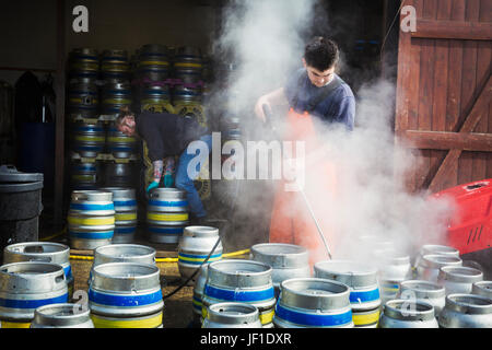 Mann arbeitet in einer Brauerei Metall Bierfässer mit einem Hochdruckreiniger reinigen. Stockfoto