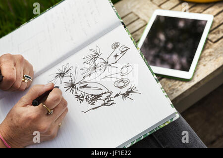 Erhöhte Ansicht einer Frau sitzen auf einer Bank, Zeichnung Blumen in einem Skizzenbuch, eine digital-Tablette. Stockfoto