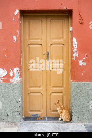 Katze sitzt im Eingang des Hauses in Spanien mit Katzenfutter auf Schritt Stockfoto