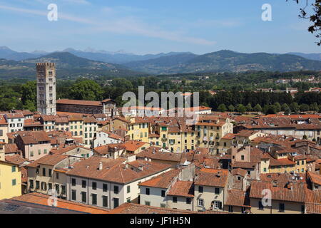 Über den Dächern, einen Ausblick auf die Stadt Lucca Italien wie seine Umgebung, gesehen von der Spitze des Torre Guinigi Stockfoto