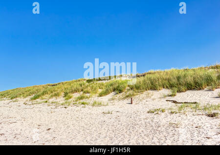 Strand und Dünen mit Gräser im Sommer Stockfoto