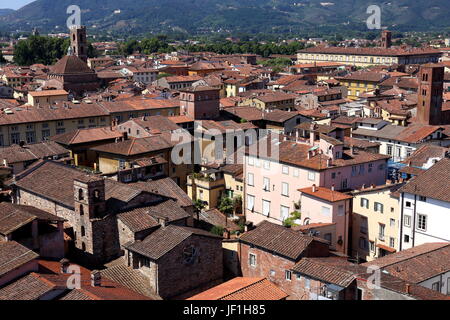 Über den Dächern, einen Ausblick auf die Stadt Lucca Italien wie seine Umgebung, gesehen von der Spitze des Torre Guinigi Stockfoto