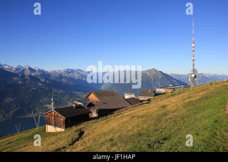 Szene auf dem Gipfel des Niederhorns Stockfoto