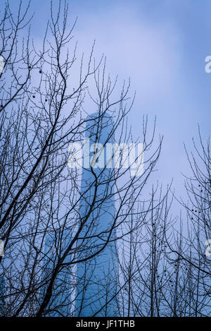 Shanghai Tower, das höchste Gebäude der Welt, ein Wolkenkratzer befindet sich im Stadtteil Pudong, Shanghai, China Stockfoto