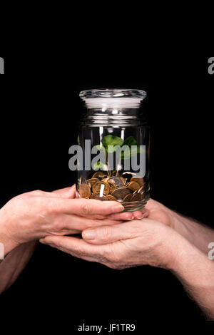 Close-up Teilansicht des älteres paar stehen und hält Münzen und Pflanze in Glas Stockfoto