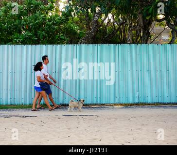 Walking mit Ihren Freunden und Ihrem Hund am Strand ist eine der am besten, um am Wochenende. Stockfoto