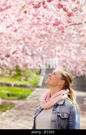 Lächelnde Frau betrachten Kirschblüten Stockfoto