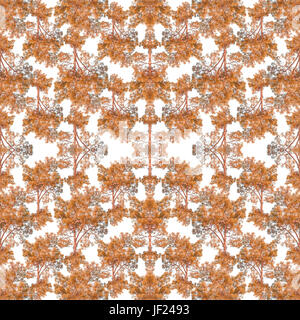 Natur Collage nahtlose Muster Stockfoto