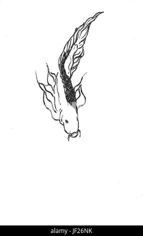 Aquatic Animal Abbildung fisch Übersicht Stock Vektor