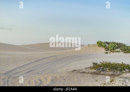 Jericoacoara Nationalpark Dünen Stockfoto